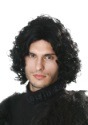 Dark Northern King Wig