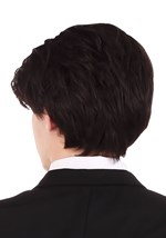 Edgar Allen Poe Wig and Mustache