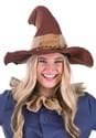 Scarecrow Costume Kit