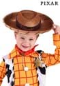Toy Story Toddler Woody Hat