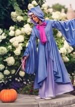 Adult Premium Fairy Godmother Costume Alt 1