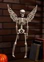 16" Hanging Wing Skeleton